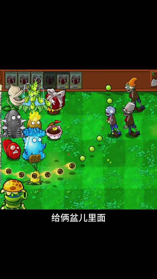 手游植物大战僵尸攻略_植物大战僵尸手机版植物怎么得-第5张图片-屿企游戏网