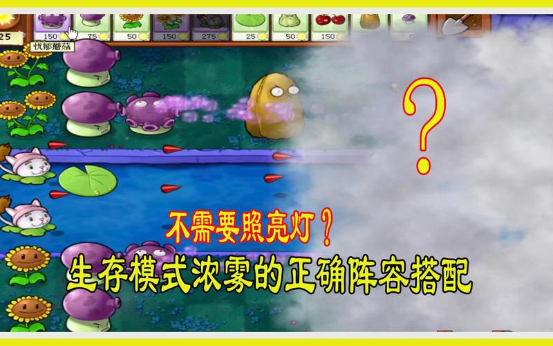 植物大战僵尸浓雾攻略_植物大战僵尸生存模式浓雾困难攻略视频