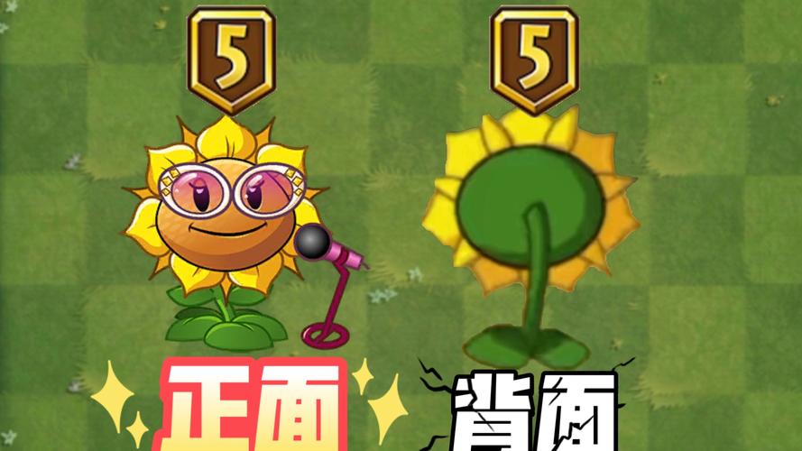 植物大战僵尸向日葵歌手，植物大战僵尸向日葵歌手简笔画-第4张图片-屿企游戏网