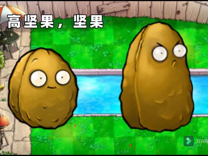 植物大战僵尸高坚果-植物大战僵尸高坚果怎么画-第5张图片-屿企游戏网