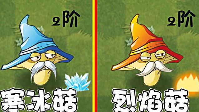 植物大战僵尸2寒冰菇,植物大战僵尸2寒冰菇大招-第2张图片-屿企游戏网 植物大战僵尸2寒冰菇,植物大战僵尸2寒冰菇大招-第2张图片-屿企游戏网