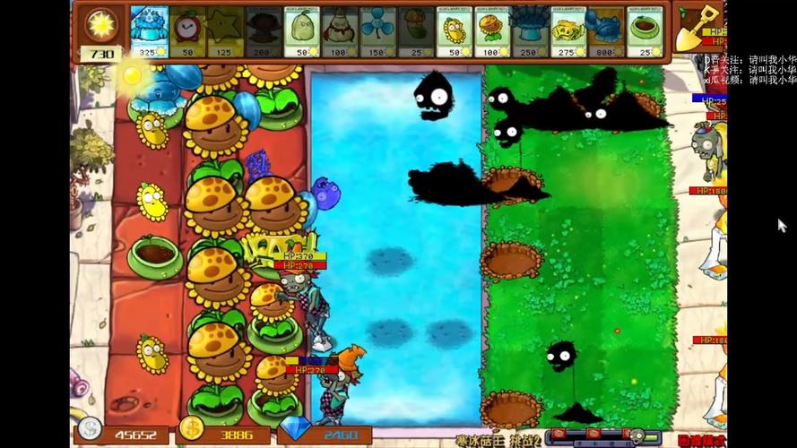 植物大战僵尸2寒冰菇,植物大战僵尸2寒冰菇大招-第1张图片-屿企游戏网 植物大战僵尸2寒冰菇,植物大战僵尸2寒冰菇大招-第1张图片-屿企游戏网