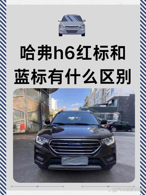 哈弗h6王者荣耀攻略,哈弗h6 superme-第3张图片-屿企游戏网 哈弗h6王者荣耀攻略,哈弗h6 superme-第3张图片-屿企游戏网