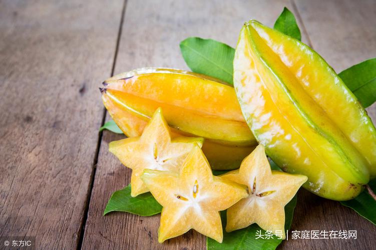 植物大战僵尸的相关事_我想知道关于植物大战僵尸-第4张图片-屿企游戏网