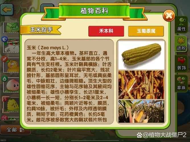 植物大战僵尸2签到植物大全_植物大战僵尸2签到奖励-第2张图片-屿企游戏网