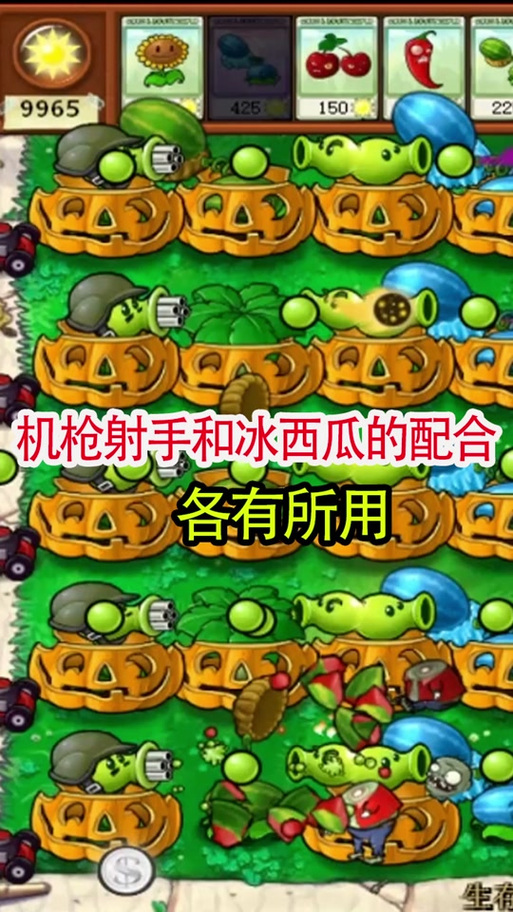 攻略植物大战僵尸_攻略植物大战僵尸小说-第2张图片-屿企游戏网 攻略植物大战僵尸_攻略植物大战僵尸小说-第2张图片-屿企游戏网