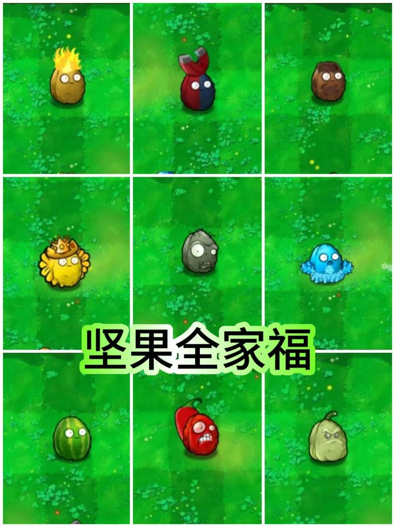 植物坚果大战僵尸-植物大战僵尸坚果种类大全-第1张图片-屿企游戏网