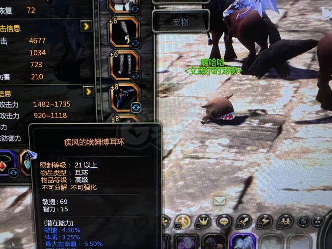 龙之谷世界游侠纹章搭配-龙之谷世界贴吧-第5张图片-屿企游戏网