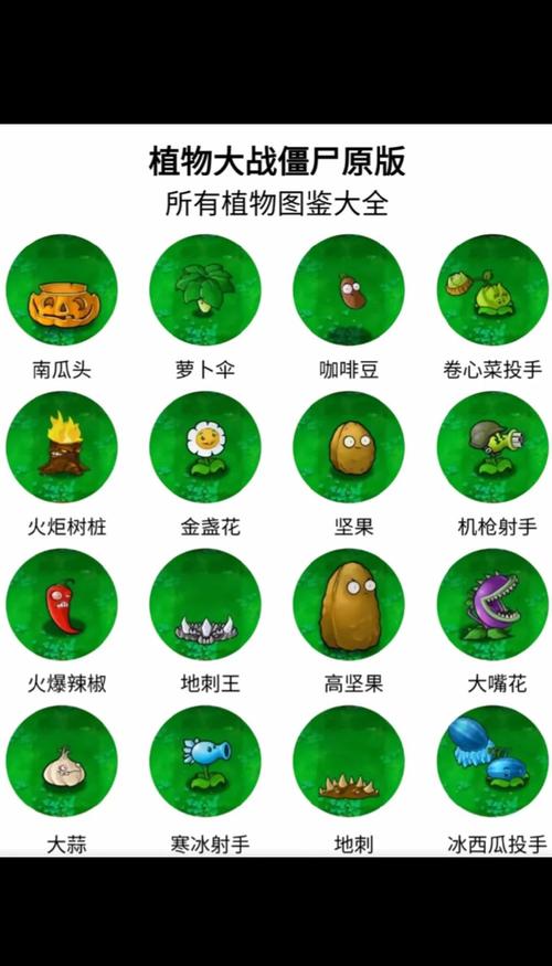 植物大战僵尸搞恶植物_植物大战僵尸搞笑植物-第1张图片-屿企游戏网