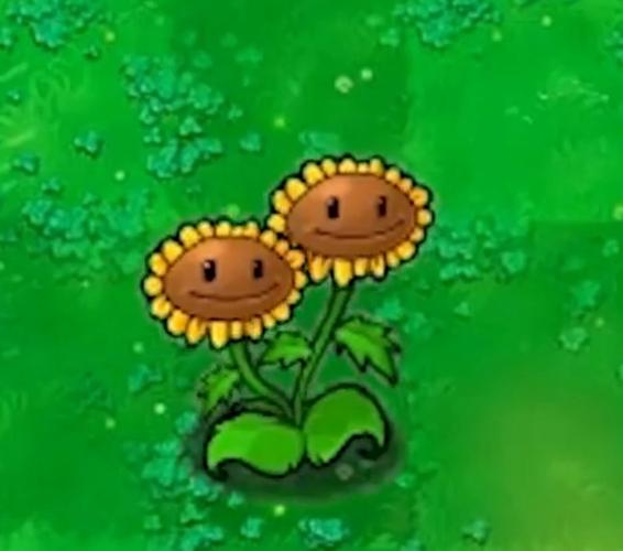 植物大战僵尸的向日葵，植物大战僵尸的向日葵图片-第3张图片-屿企游戏网