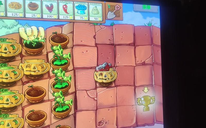 植物大战僵尸的向日葵，植物大战僵尸的向日葵图片-第5张图片-屿企游戏网