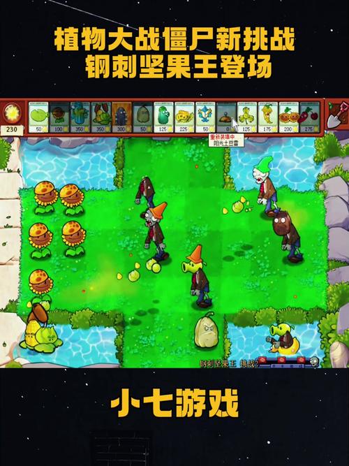 植物大战僵尸植物坚果，植物大战僵尸植物坚果墙-第1张图片-屿企游戏网