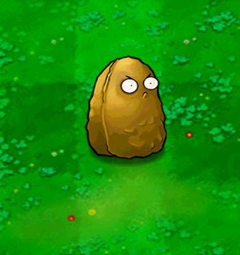 植物大战僵尸植物坚果，植物大战僵尸植物坚果墙-第5张图片-屿企游戏网