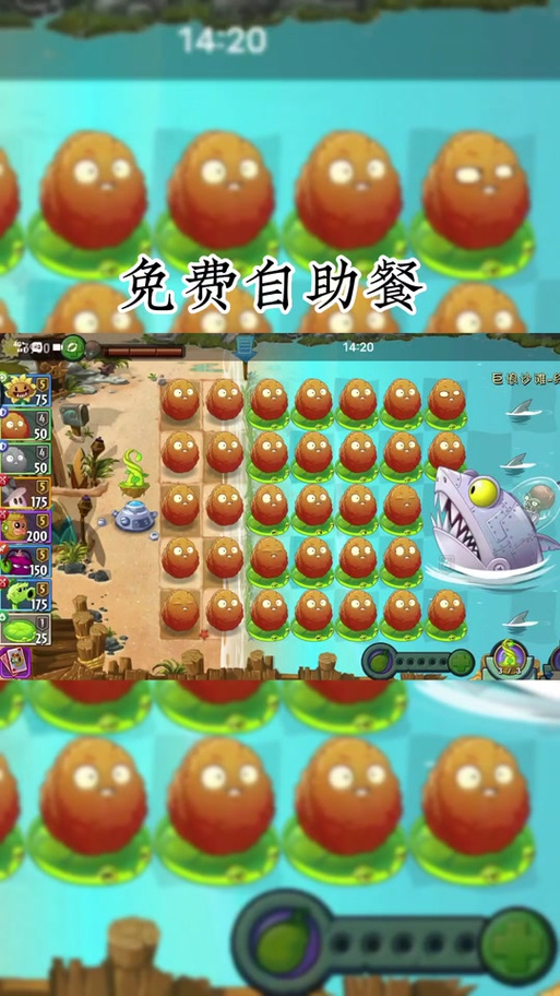 植物大战僵尸爆炸坚果-植物大战僵尸爆炸坚果表情包-第5张图片-屿企游戏网