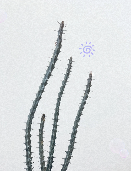 植物大战僵尸2亚瑟的挑战攻略-植物大战僵尸2 亚瑟无尽挑战攻略-第3张图片-屿企游戏网