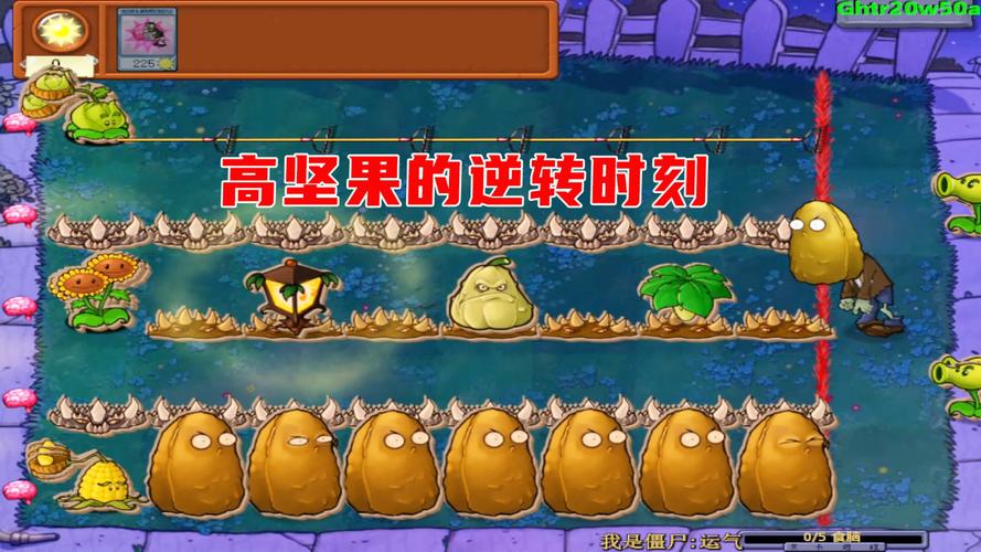 植物大战僵尸2坚果_植物大战僵尸2坚果大爷vs所有僵尸-第2张图片-屿企游戏网