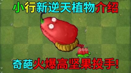 植物大战僵尸2坚果_植物大战僵尸2坚果大爷vs所有僵尸-第4张图片-屿企游戏网