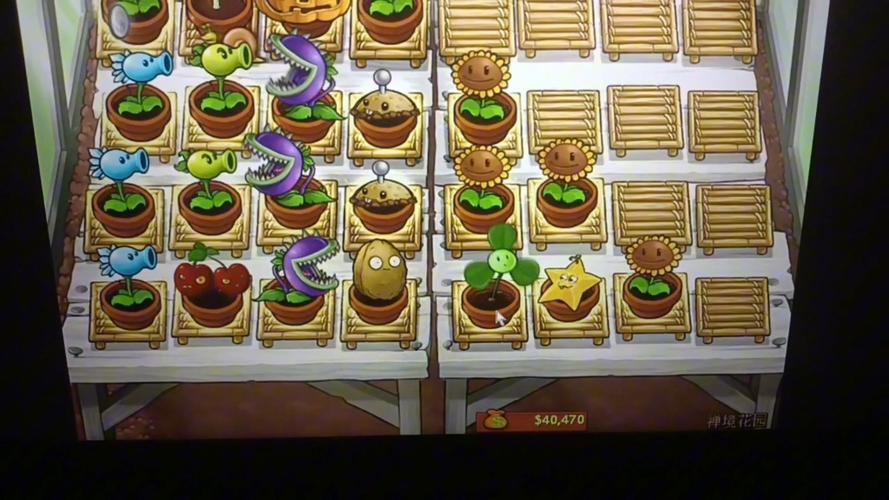 花园植物大战僵尸-花园植物大战僵尸3D版-第4张图片-屿企游戏网