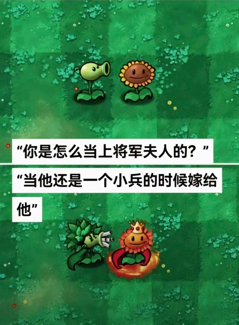 豌豆射手植物大战僵尸，豌豆射手植物大战僵尸游戏-第2张图片-屿企游戏网