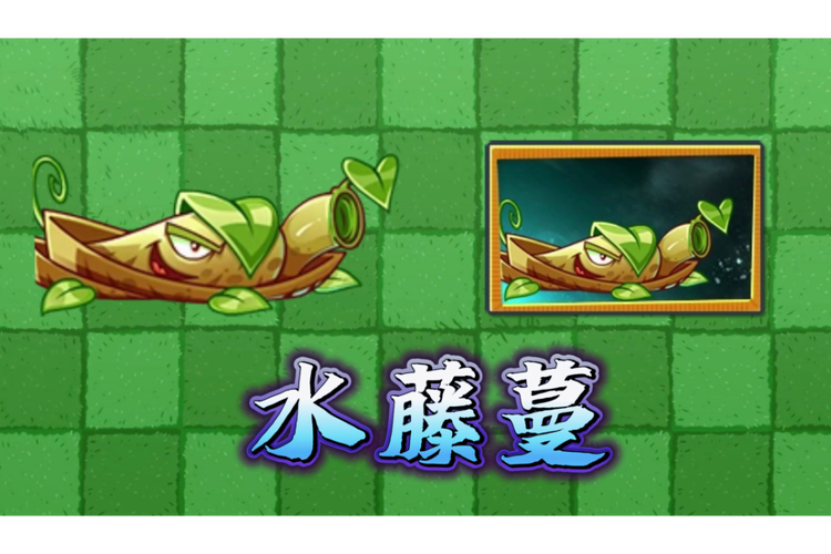 植物大战僵尸海蘑菇-植物大战僵尸海蘑菇睡不睡觉-第5张图片-屿企游戏网