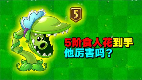 植物大战僵尸5阶植物-植物大战僵尸5阶植物怎么升级-第2张图片-屿企游戏网