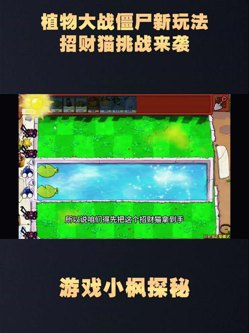 植物大战僵尸挣钱攻略_植物大战僵尸挣钱攻略视频-第6张图片-屿企游戏网