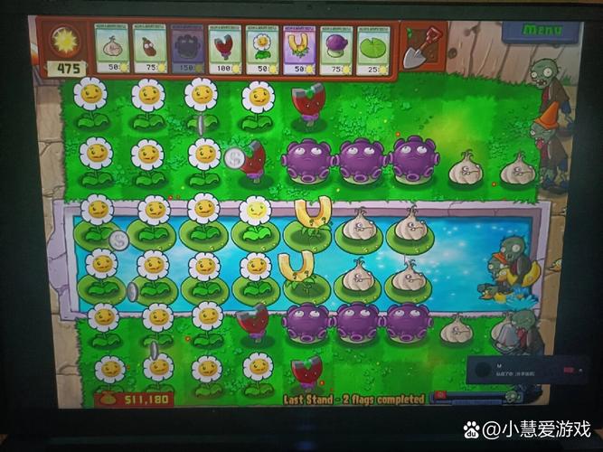 植物大战僵尸金币攻略_植物大战僵尸金币怎么用?-第2张图片-屿企游戏网