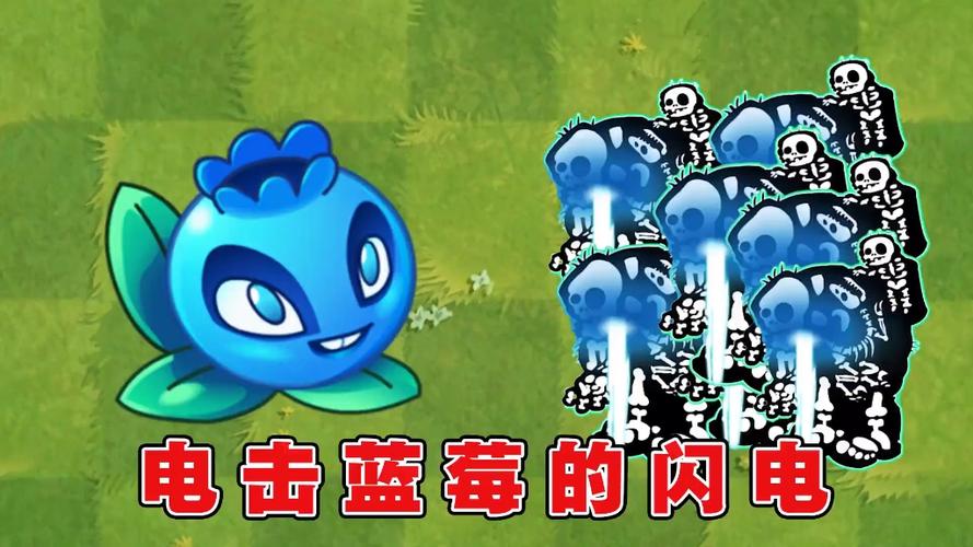 植物大战僵尸电击蓝莓，植物大战僵尸电击蓝莓兑换码-第4张图片-屿企游戏网