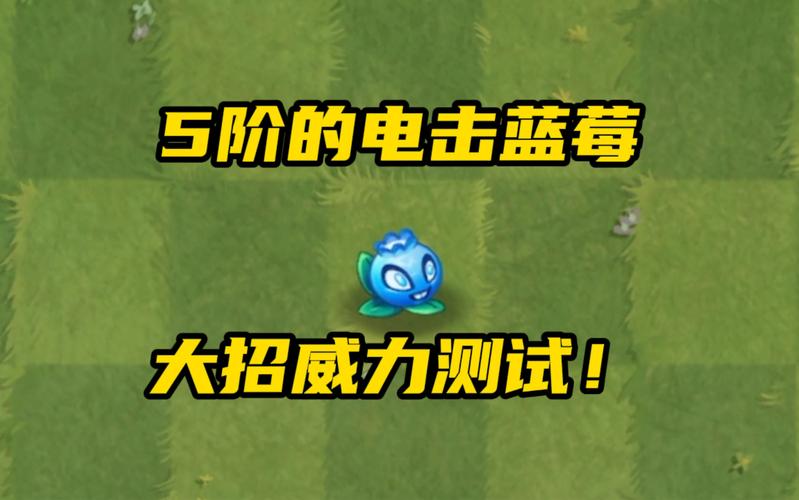 植物大战僵尸电击蓝莓，植物大战僵尸电击蓝莓兑换码-第5张图片-屿企游戏网