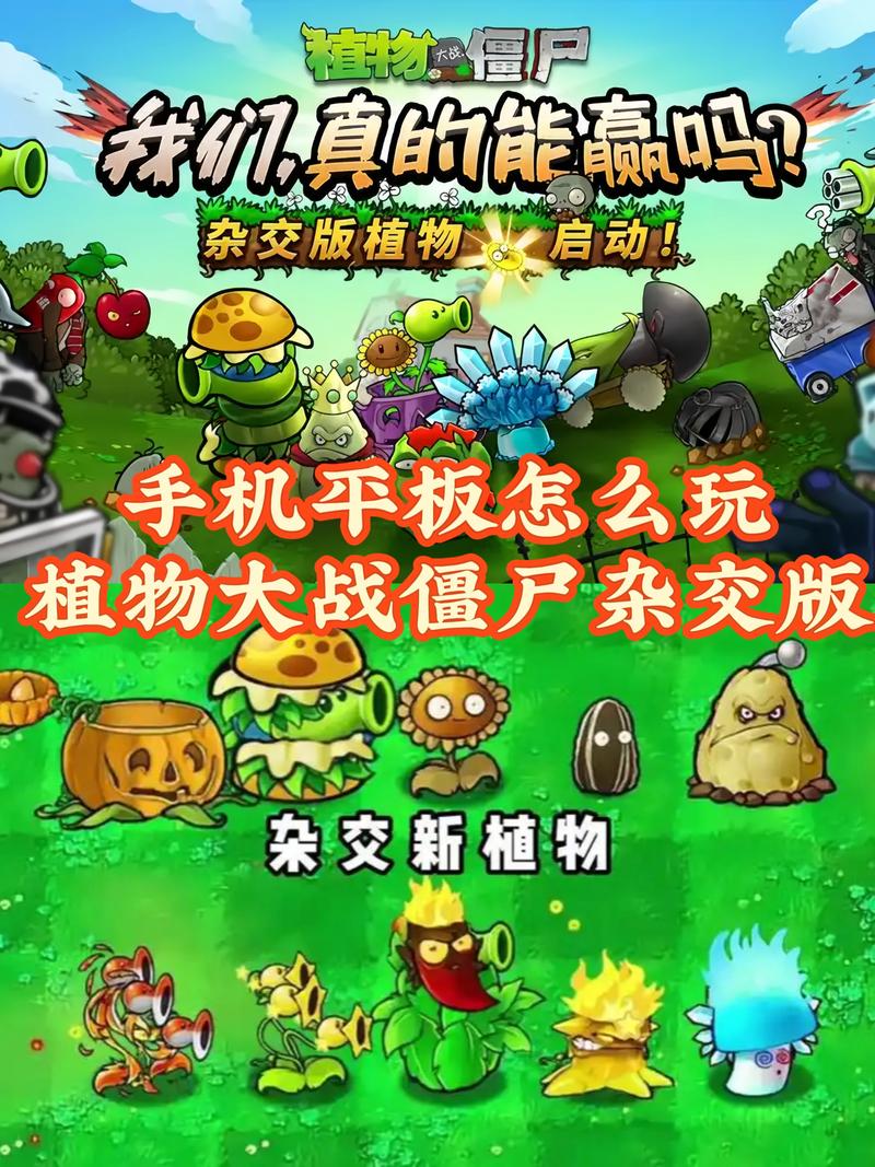 植物大战僵尸怎么玩法_植物大战僵尸 玩法-第4张图片-屿企游戏网 植物大战僵尸怎么玩法_植物大战僵尸 玩法-第4张图片-屿企游戏网