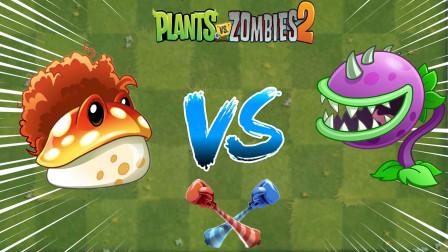 植物大战僵尸2金蟾菇_植物大战僵尸2金蟾菇能吃十阶僵尸吗-第2张图片-屿企游戏网