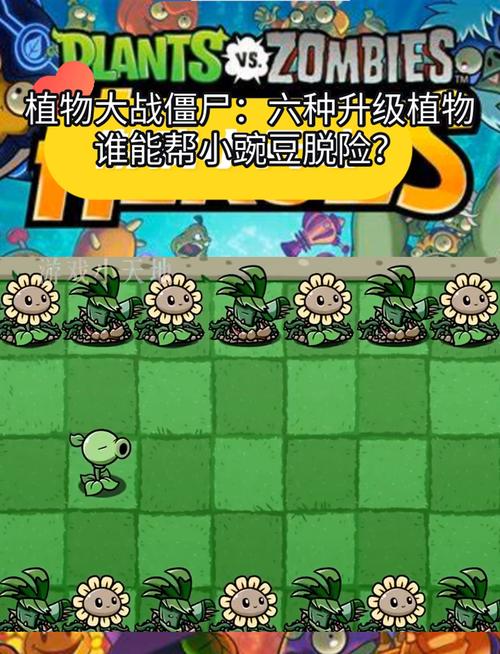 植物大战僵尸怎么升级植物，植物大战僵尸1老版本-第4张图片-屿企游戏网
