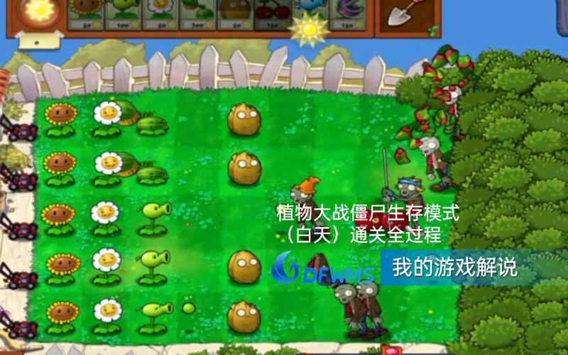 植物大战僵尸生存攻略-植物大战僵尸攻略生存模式