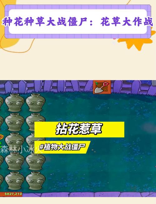 植物大战僵尸养花-植物大战僵尸养花睡觉-第2张图片-屿企游戏网