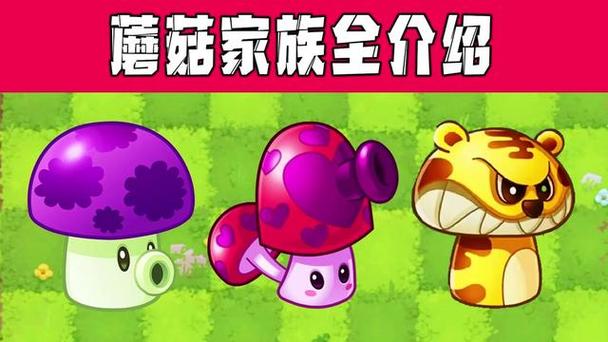 植物大战僵尸蘑菇，植物大战僵尸蘑菇家族图片大全-第5张图片-屿企游戏网