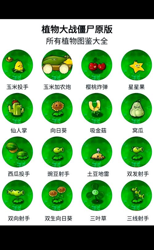 植物大战僵尸里的植物名字，植物大战僵尸里植物名字的英语-第3张图片-屿企游戏网