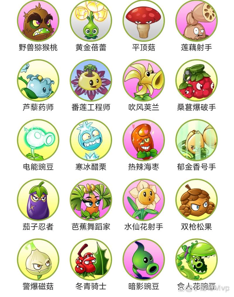 植物大战僵尸英雄植物版_植物大战僵尸英雄植物版本-第2张图片-屿企游戏网