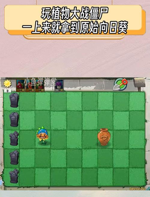 植物大战僵尸2原始向日葵装扮_植物大战僵尸2原始向日葵装扮作用-第4张图片-屿企游戏网 植物大战僵尸2原始向日葵装扮_植物大战僵尸2原始向日葵装扮作用-第4张图片-屿企游戏网