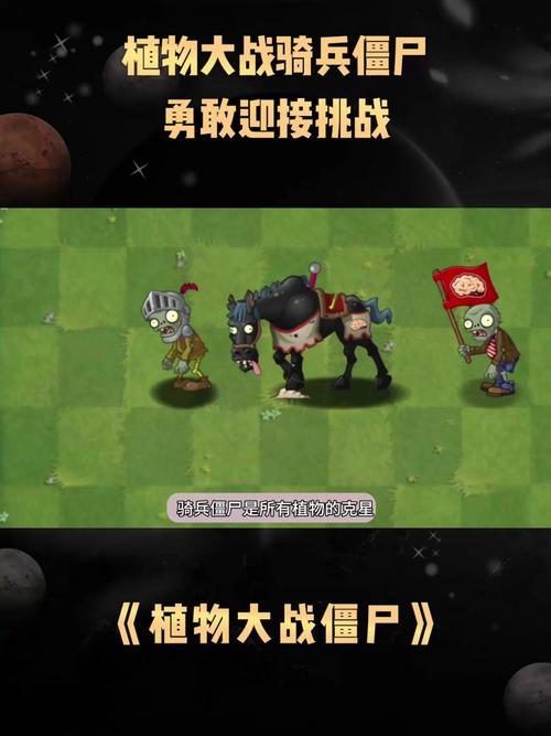 植物大战僵尸2对战攻略_植物大战僵尸2对战攻略视频解说-第4张图片-屿企游戏网