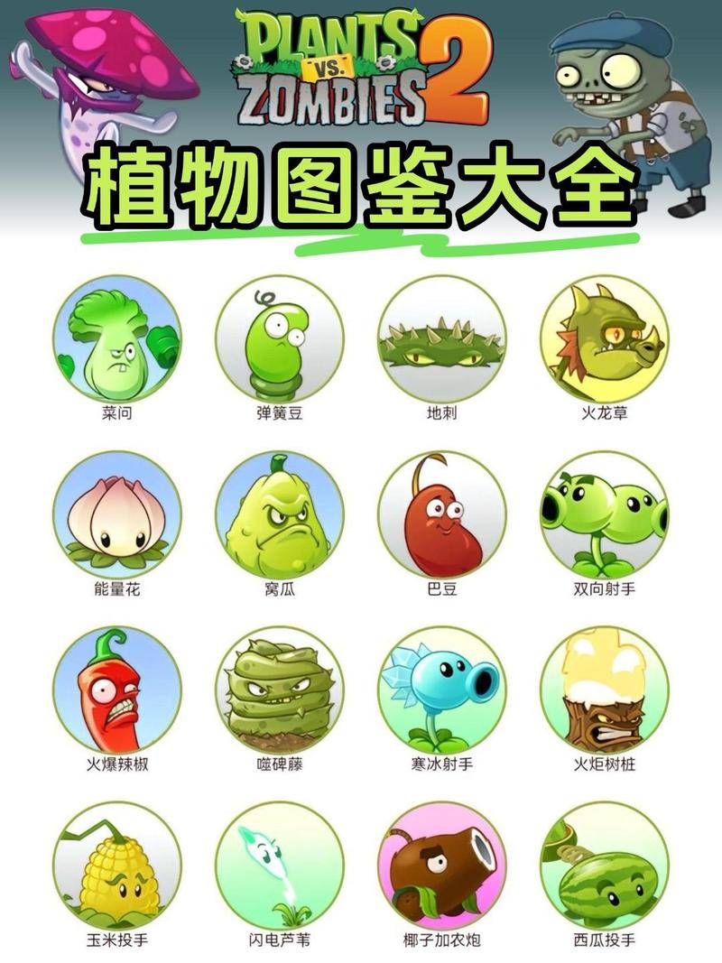 植物大战僵尸2植物大全图片-植物大战僵尸2植物排名榜图片-第2张图片-屿企游戏网