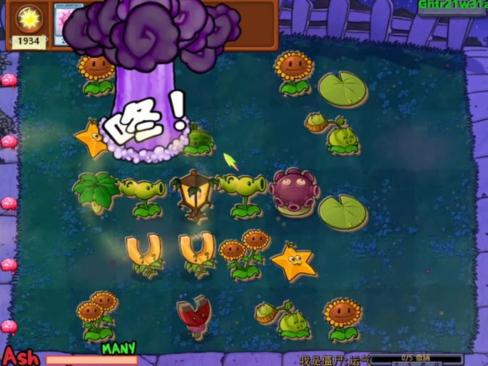 植物大战僵尸向日葵萌-植物大战僵尸各种向日葵-第6张图片-屿企游戏网