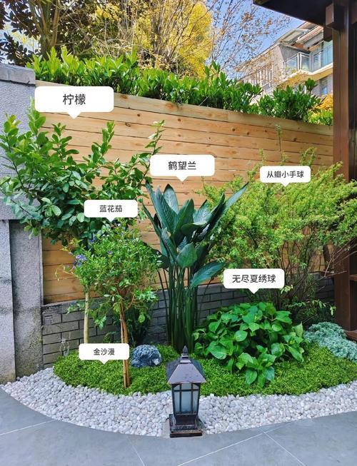 植物大战僵尸的植物花园_植物大战僵尸的植物花园有哪些-第2张图片-屿企游戏网 植物大战僵尸的植物花园_植物大战僵尸的植物花园有哪些-第2张图片-屿企游戏网