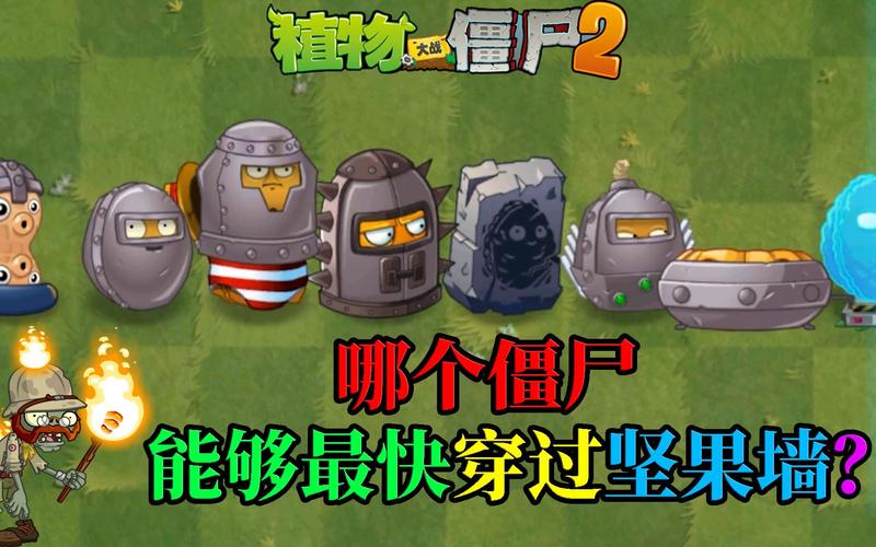 植物大战僵尸坚果包扎术怎么用，植物大战僵尸的坚果包扎术什-第2张图片-屿企游戏网