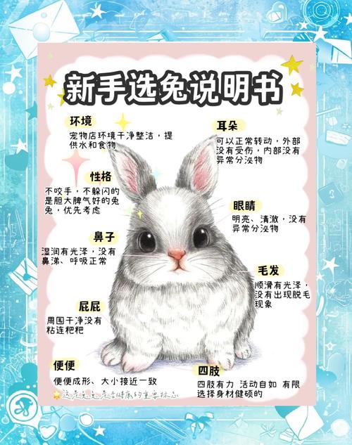 阴阳师御魂兔子流，阴阳师兔子的御魂-第2张图片-屿企游戏网