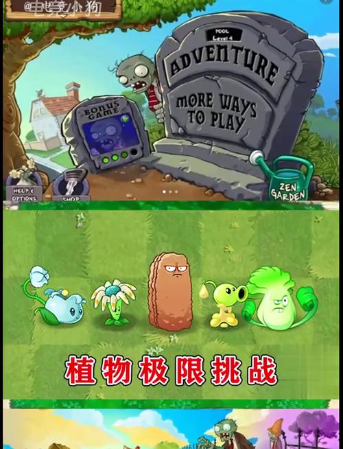 植物大战僵尸二各种植物，植物大战僵尸二各种植物测试-第4张图片-屿企游戏网