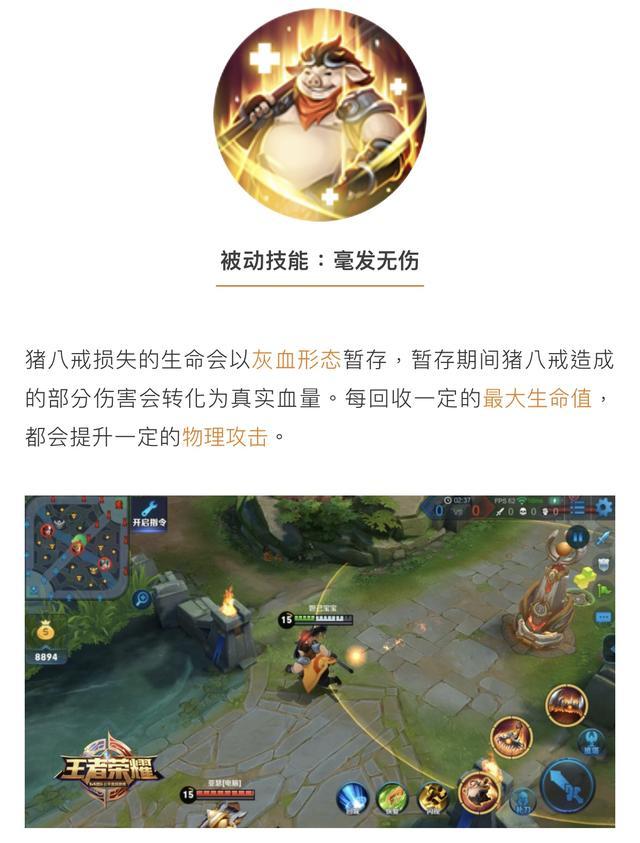 王者荣耀猪八戒攻略教学，王者荣耀 猪八戒教学-第5张图片-屿企游戏网