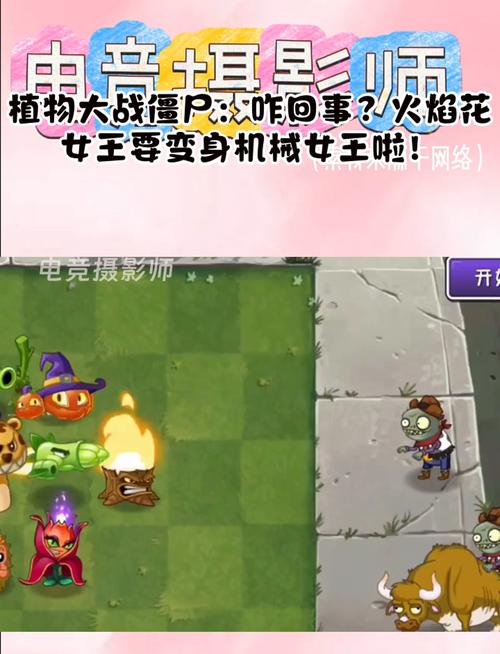 植物大战僵尸火焰花女王_植物大战僵尸火焰花女王怎么获得-第5张图片-屿企游戏网