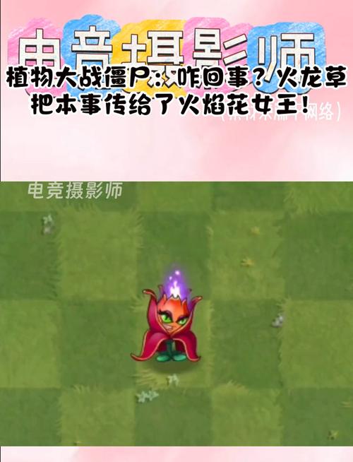 植物大战僵尸火焰花女王_植物大战僵尸火焰花女王怎么获得-第6张图片-屿企游戏网