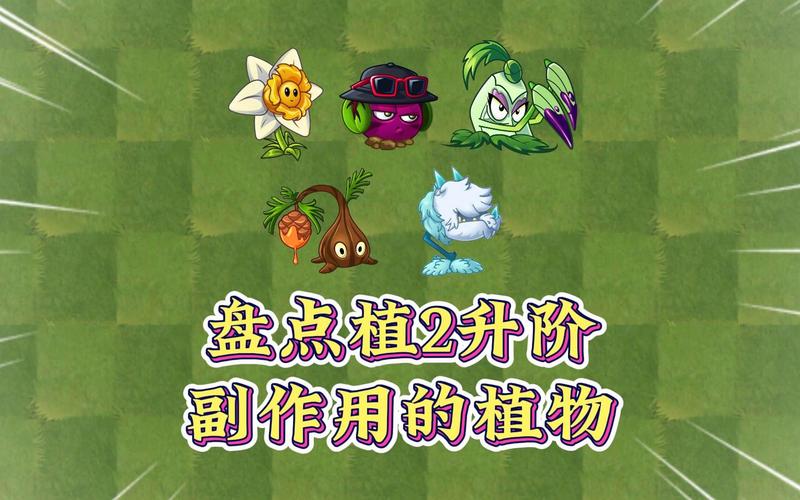 植物大战僵尸这是植物,植物大战僵尸视频植物-第5张图片-屿企游戏网 植物大战僵尸这是植物,植物大战僵尸视频植物-第5张图片-屿企游戏网