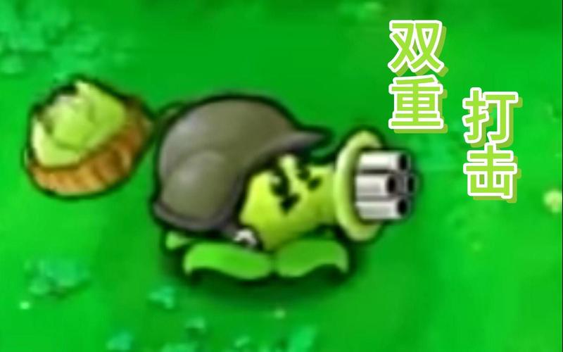 植物大战僵尸24关_植物大战僵尸24关怎么过-第4张图片-屿企游戏网